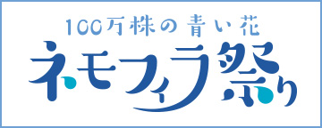 ネモフィラ祭り