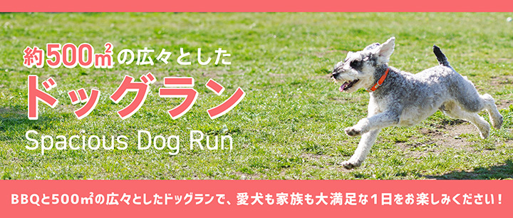 ドッグラン